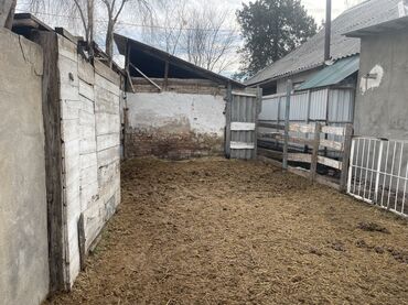 Продажа домов: Дом, 28 м², 3 комнаты, Собственник, Старый ремонт — 7