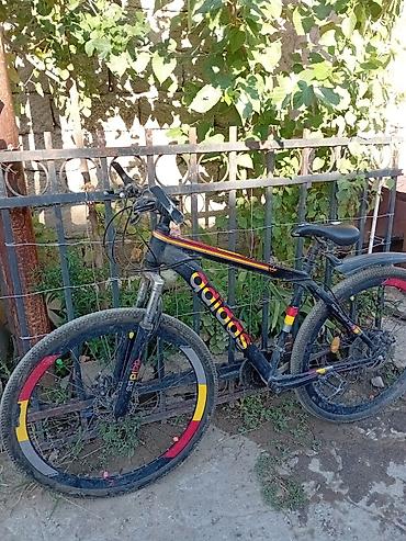 islenmis velosiped: İşlənmiş Şəhər velosipedi Adidas, 29", Ödənişli çatdırılma, Rayonlara çatdırılma, Pulsuz çatdırılma — 3