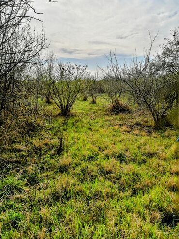 Bağ evlərinin satışı: Xaçmaz, 300 kv. m, 4 otaqlı, Qaz, İşıq — 9