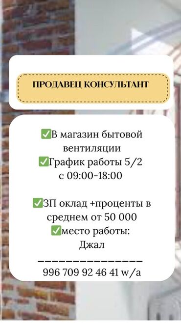 Продавцы-консультанты: Требуется продавец-консультант в магазин бытовой вентиляции. График