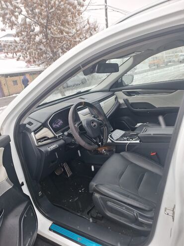 Weltmeister: Weltmeister EX5, 2021 г. — 12