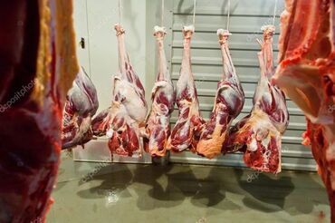 мясо страуса бишкек цена: Сапоги