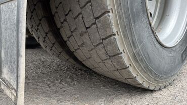 Тягачи: Тягач, DAF, 2008 г. — 8