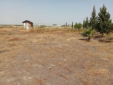 ev alqi satqi kiraye: 200 sot, Kənd təsərrüfatı, Mülkiyyətçi, Kupça (Çıxarış) — 3