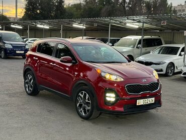 Kia: Kia Sportage: 2019 г., 2.4 л, Автомат, Бензин, Кроссовер