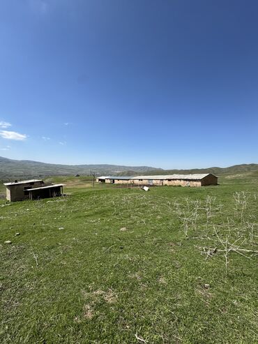 Продажа участков: 160 соток, Для сельского хозяйства, Красная книга, Тех паспорт — 9