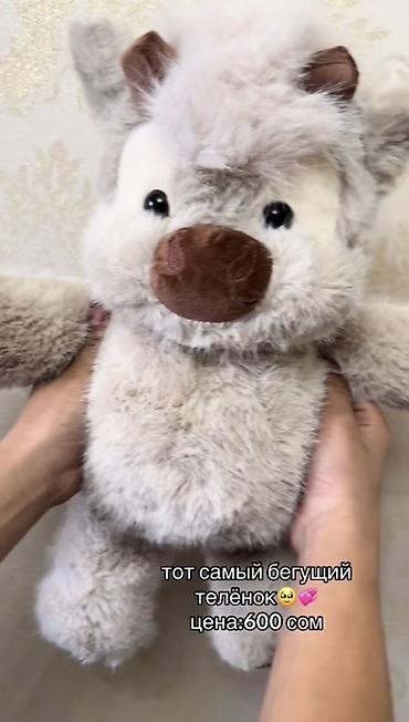 plaud note: Тот самый хит
БЕГУЩИЙ ТЕЛЁНОК🥹💞
Цена:600 сом — 1