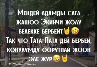 среди тысячи слов: Постер/баннер с цитатой на кыргызском языке. Описание: - Вертикальный