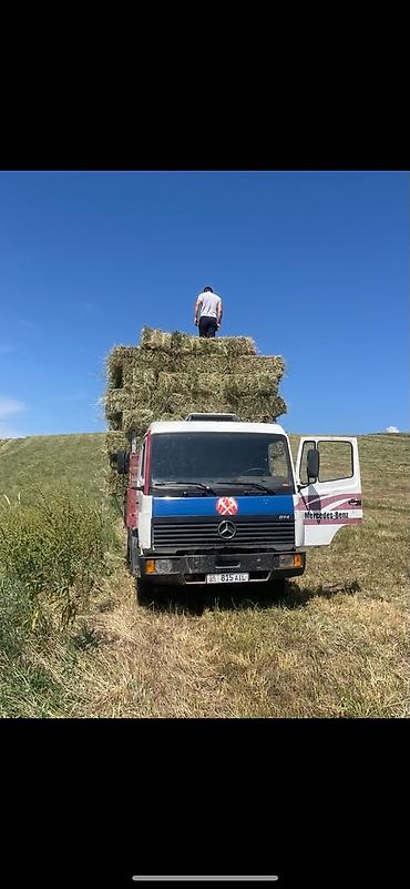 howo машина: Грузовик, Mercedes-Benz, Стандарт, Б/у — 3