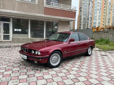 цветущее живое: BMW 5 series: 1991 г., 2.5 л, Механика, Бензин, Седан