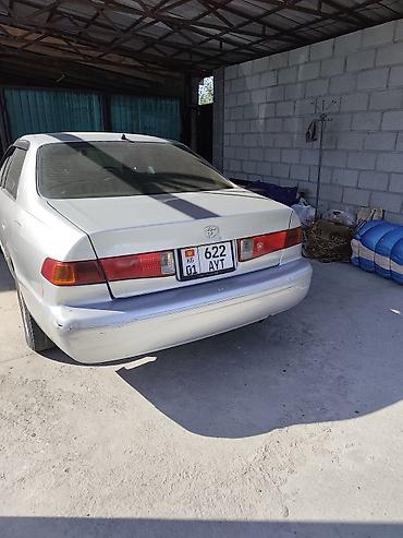 сайт авто кыргызстан: Toyota Camry: 2000 г., 2.2 л, Автомат, Газ, Седан — 2