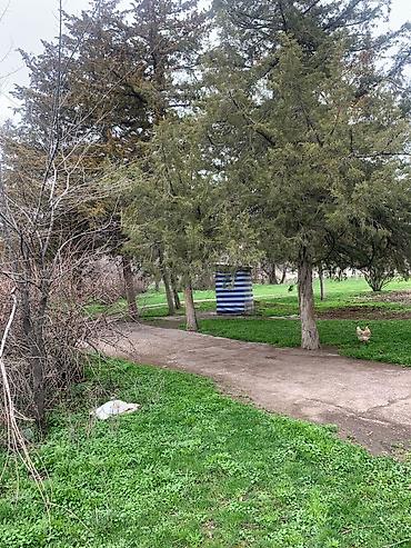 Продажа участков: 90 соток, Для бизнеса, Красная книга — 9