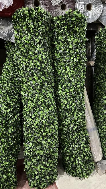 kələm gülü: 🌿 Yaşıl Hasar – Təbii Görünüş, Uzunömürlü Keyfiyyət! 🌿 🏗 Paslanmaz — 9
