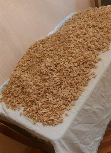 Ləpələr: Soyulmuş qoz ləpəsi. 10 kq karobkada. Toptan satış qiymətə və ünvana — 4