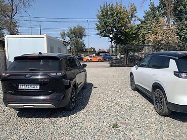 Tesla: Tesla : 2022 г., Электромобиль, Кроссовер — 6