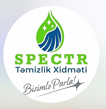 Təmizlik xidmətləri: Təmizlik | Evlər | Ümumi təmizlik — 1
