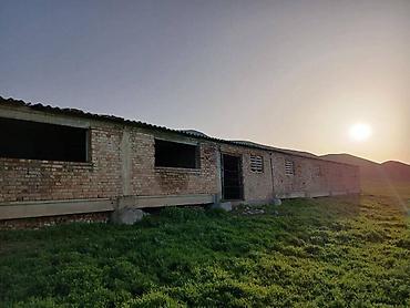 ферма скотник: Farm КРС, 50 соток, Действующий, Без оборудования, Электричество, Холодная вода — 10
