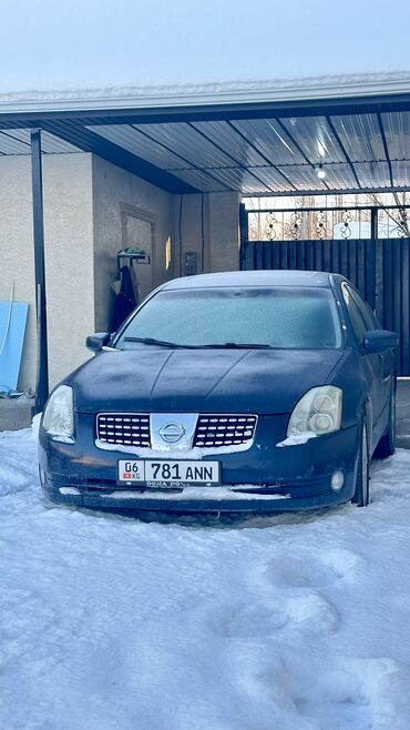 лабо машина: Nissan Maxima: 2003 г., 3.5 л, Автомат, Бензин, Седан