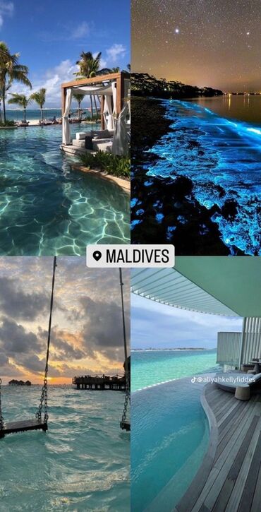 Туристические услуги: Авиабилеты на все направления. Помощь в подборе маршрутов и дат по — 3