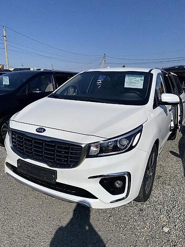 авто будка: Kia Carnival: 2019 г., 2.2 л, Автомат, Дизель, Минивэн — 2