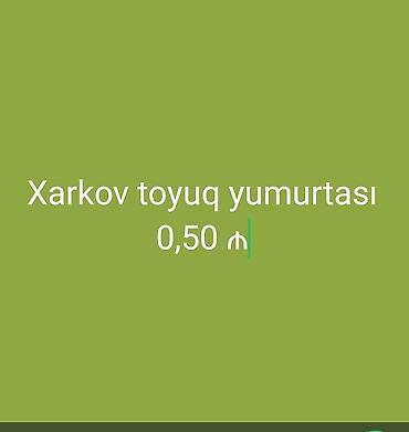 ev gülleri ve adlari: Məhsul: Xarkov toyuq yumurtası - Cins: Xarkov (yumurtaverən — 1