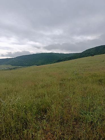 bartee: 300 sot, Kənd təsərrüfatı, Barter mümkündür, Kupça (Çıxarış) — 1