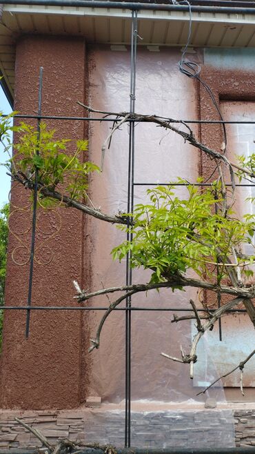 Фасадные панели: Эстетичная и долговечная отделка фасада с использованием двух видов — 17