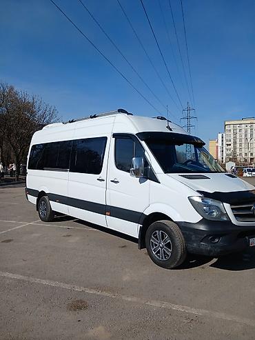 меерс 124: Пассажирский микроавтобус Mercedes‑Benz (длинная база, высокий — 2