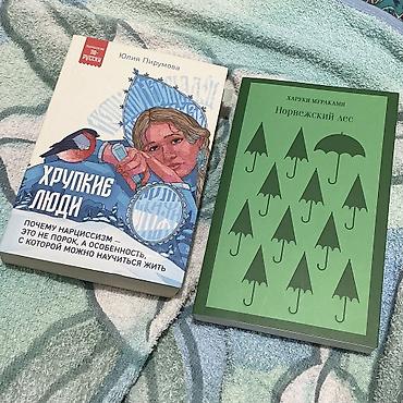 Норвежский лес (совсем новая, не читалась) — 400 сомов Хрупкие люди (