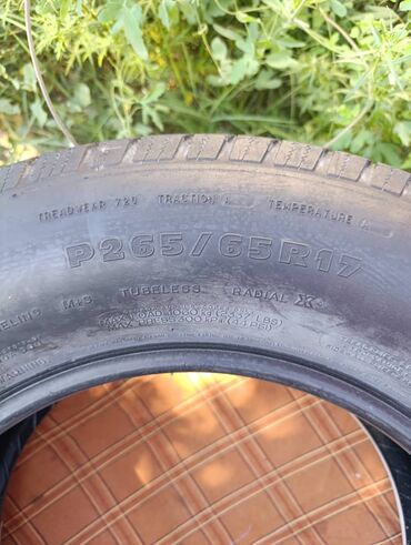 радиатор опель монтерей: Шины R 17, Б/у, Комплект, Внедорожные (АТ/МТ), Michelin