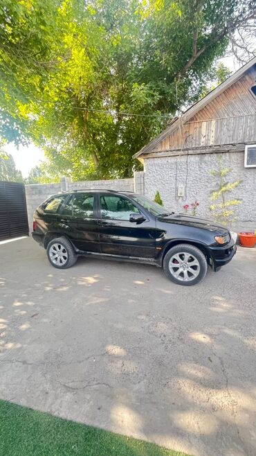 глушитель фольксваген: BMW X5: 2004 г., Кроссовер