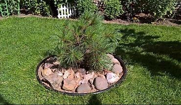 Дизайн, проектирование: Дизайн | Дома, Кафе, рестораны — 5