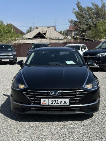 сиденья соната: Hyundai Sonata: 2019 г., 2 л, Автомат, Газ, Седан