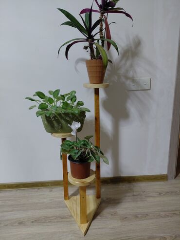 Bitkilər üçün dibçəklər: Taxta bitki stendləri və saksı dayaqları - Material: təbii ağac. Açıq — 22