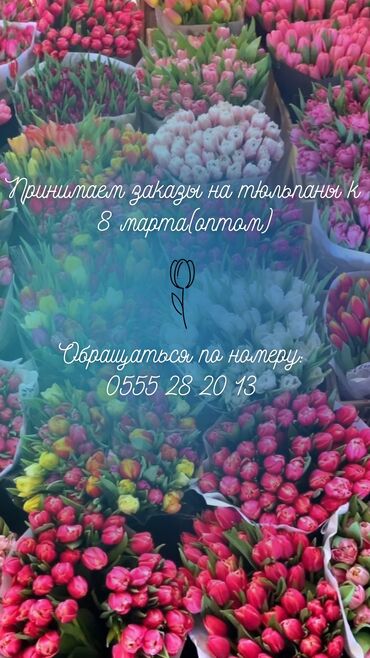 Принимаем заказы к 8 марта на тюльпаны (оптом). Бишкек. Есть доставка
