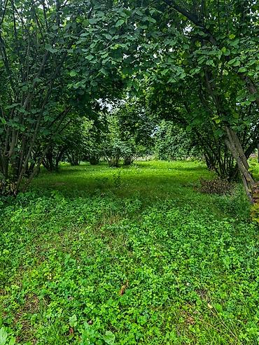 boş torpaq: 10 sot, Tikinti, Barter mümkündür, Kupça (Çıxarış) — 4