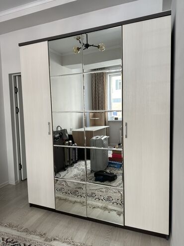 мебель для прихожка: Кийим салуучу шкаф, Жаңы, Түз, ЛДСП