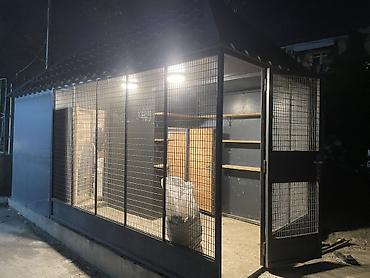 quş yuvası düzəltmək: Metall konstruksiyalı göyərçinlik/kafes kompleksi — 1