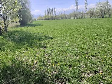 Продажа участков: 101 соток, Для сельского хозяйства, Договор купли-продажи — 12
