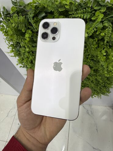 iphone 1164: IPhone 12 Pro Max, 256 GB, White Titanium, Zəmanət, Barmaq izi, Face ID