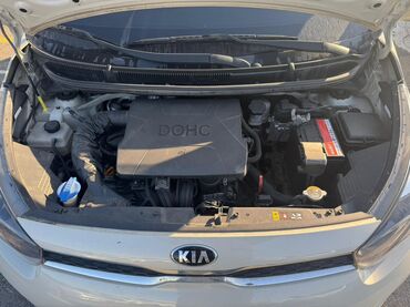 Kia: Kia Picanto: 2019 г., Автомат, Бензин, Хэтчбэк — 4