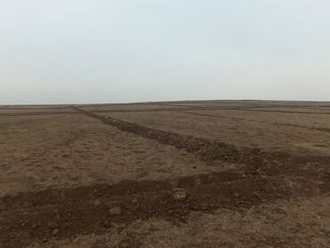 Продажа участков: 1300 соток, Для сельского хозяйства, Договор купли-продажи — 8