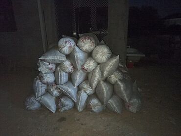 Peyin: Toz halinda mal peyini - kisesi 2,80 q. ( boyuk kepek kisesinde) — 13