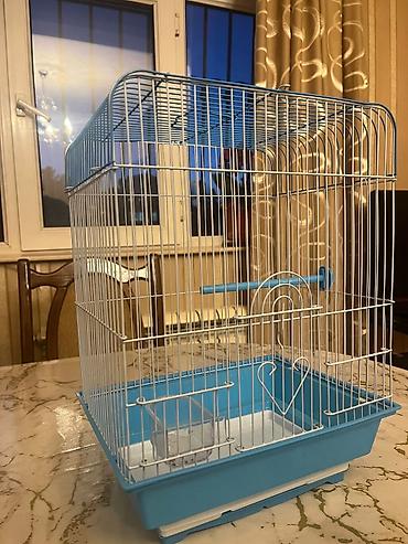 bulbul qefesi: Quş qəfəsi – kiçik və orta ölçülü ev quşları üçün - Rəng: mavi — 2