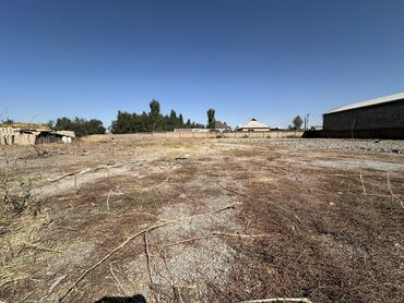 Аренда участков: 40 соток Для бизнеса — 2