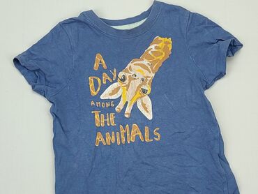 koszulki usa: Koszulka, Lupilu, 3-4 lat, 98-104 cm, stan - Zadowalający