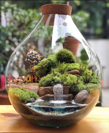 dekorativ güllər: Evlerinize otaqlariniza gözəllik veren Terrarium'lar bizde 🤩🤩