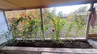 Продажа коттеджей и домов: Продаю 2 дома на одном участке(2 зала,4 спальних комнат,летняя — 17