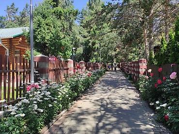 Продажа квартир: 2 комнаты, 45 м², 6 этаж — 7