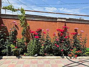 zabrat ev: Zabrat 3 otaqlı, 100 kv. m, Kredit yoxdur, Yeni təmirli — 9
